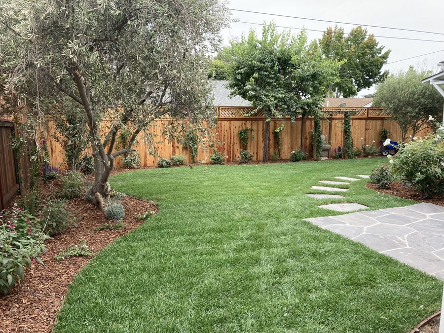 Backyard lawn wrapped in a custom cedar fence, Santa Barbara