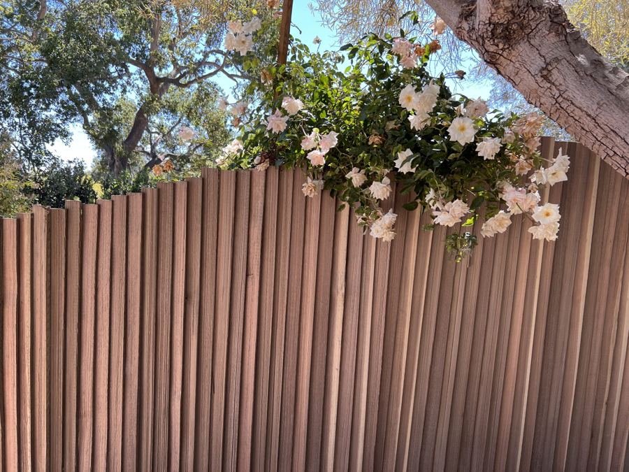 Custom pole fence with climbing white roses