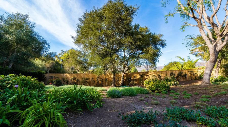 New cedar fence wrapping a Santa Barbara backyard under oaks
