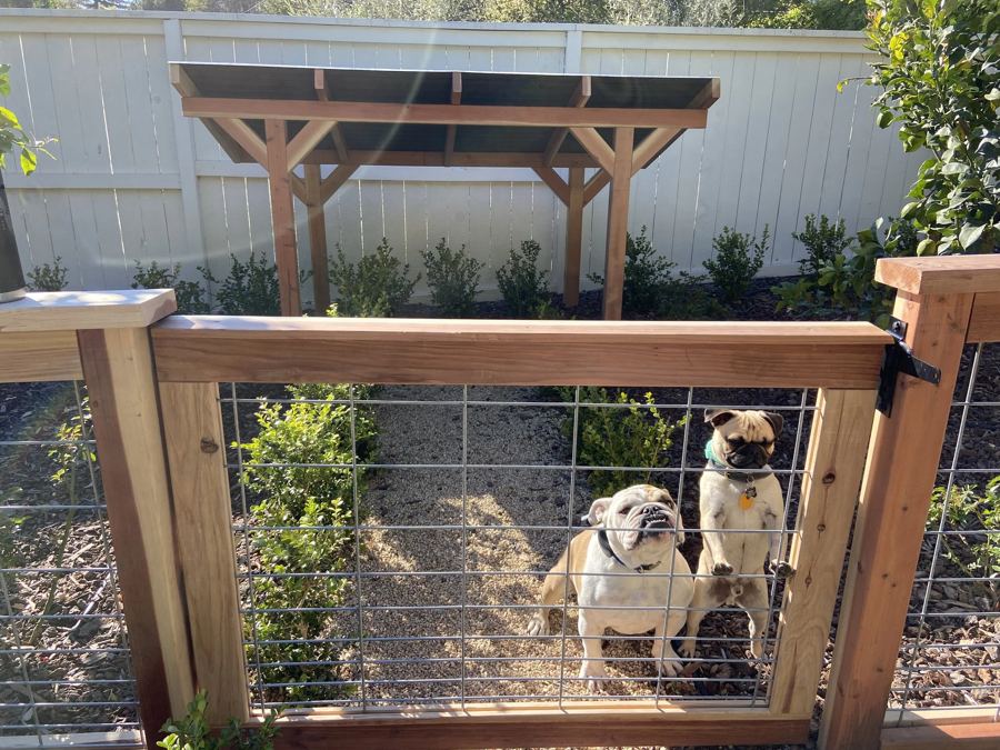 Pet containment done right — two dogs at a hog wire gate