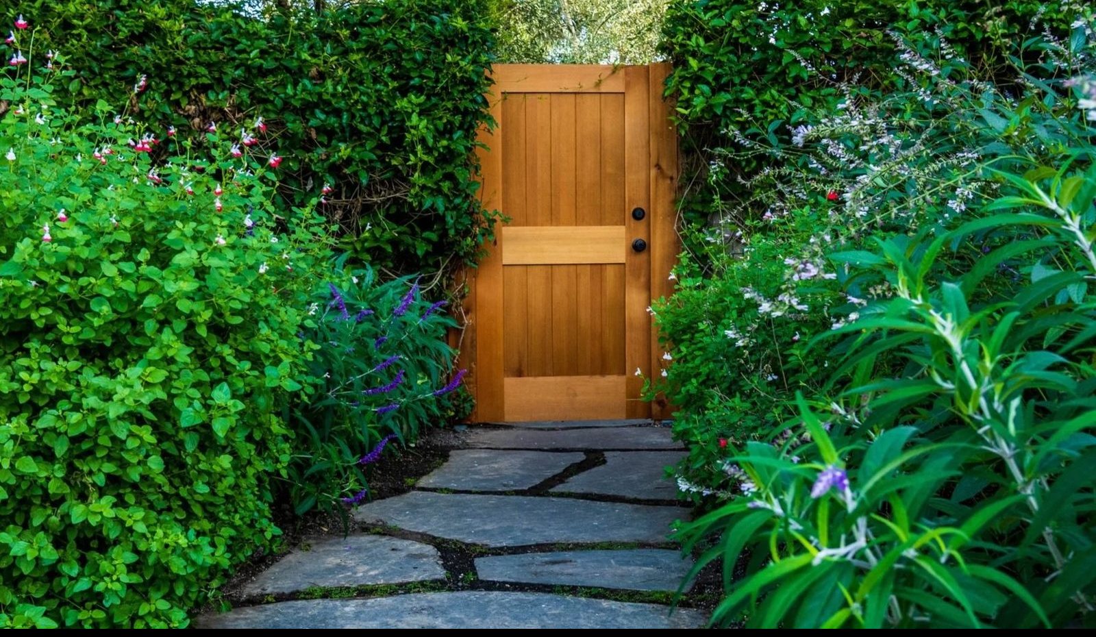 Custom wood door gate with black hardware set in a flowering hedge