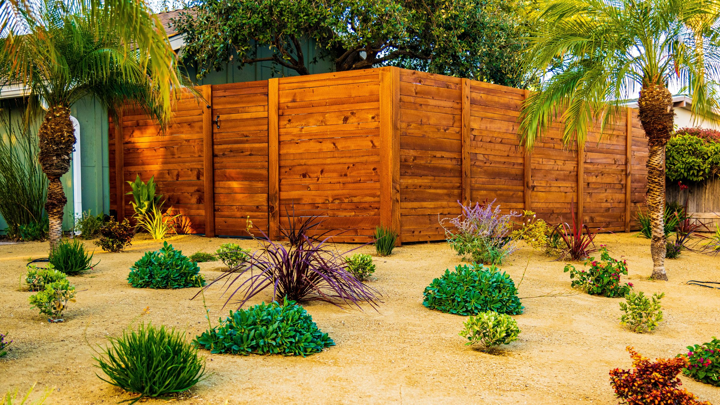 Stained horizontal wood fence and gate framed by palms in a drought-tolerant Santa Barbara yard