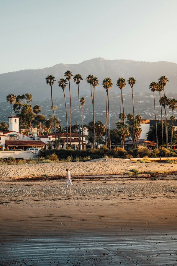 Santa Barbara beach and palms at golden hour