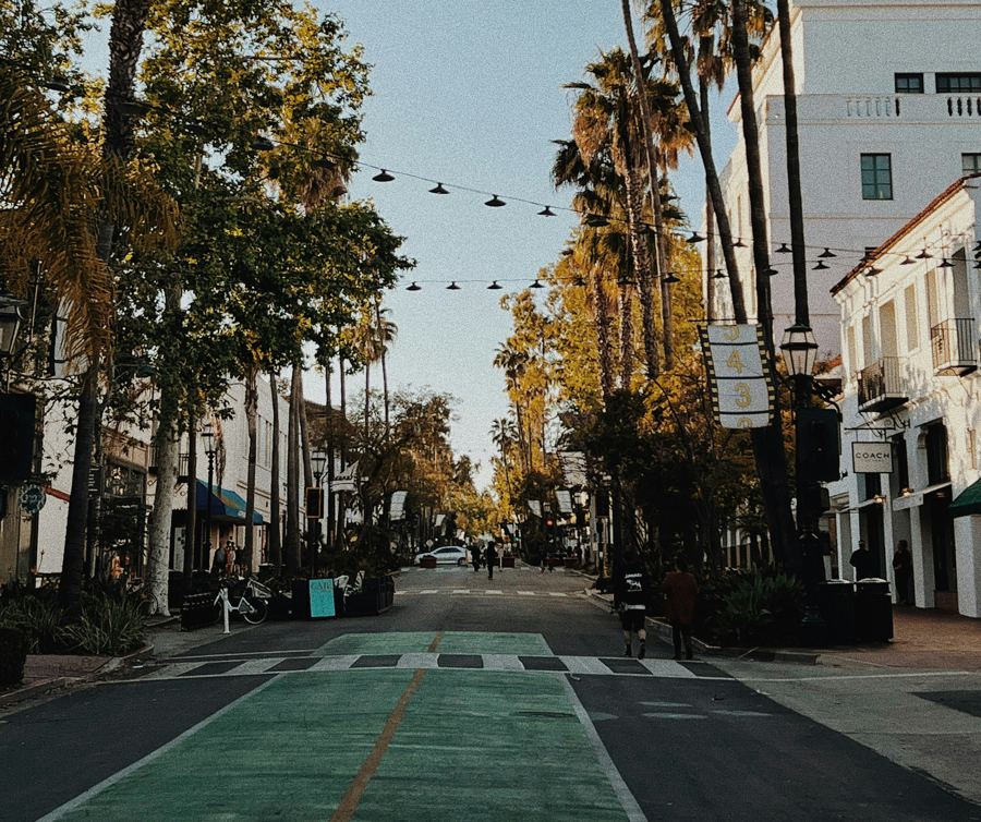 Palm-lined State Street in downtown Santa Barbara