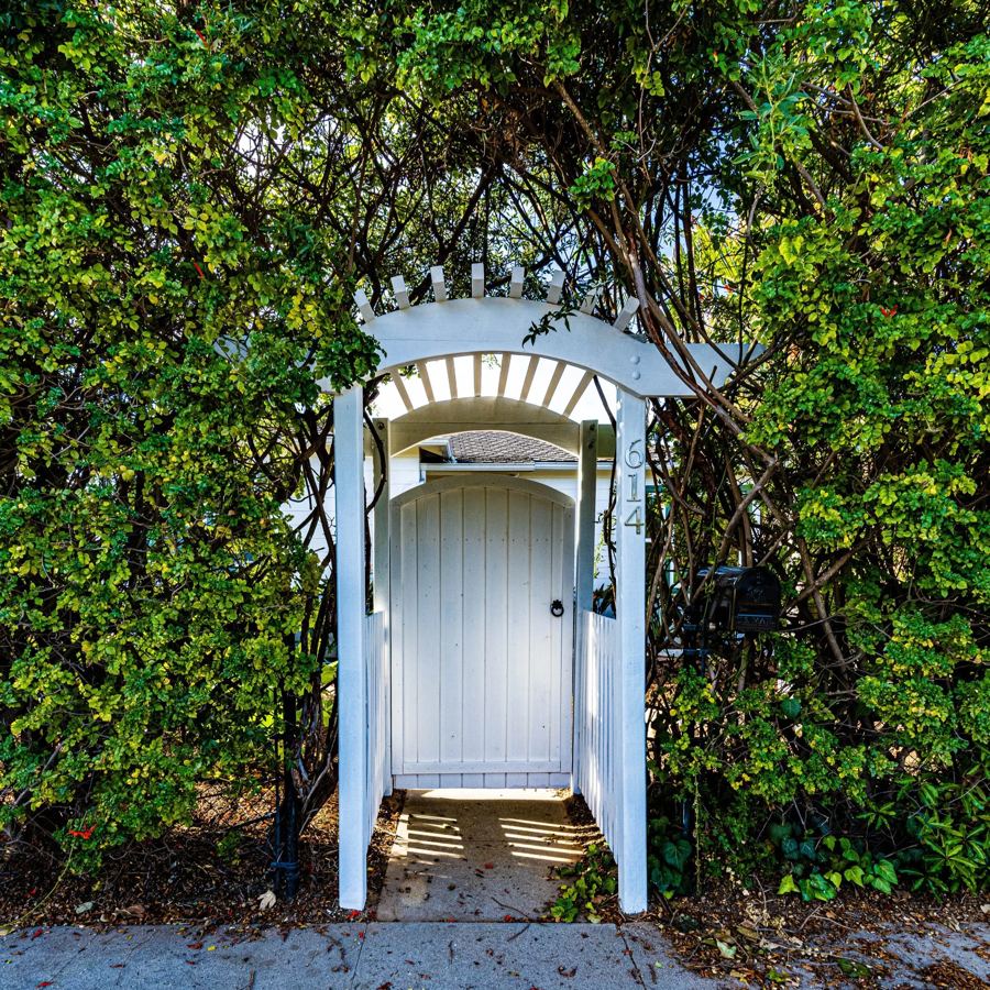 White arbor gate through a hedge